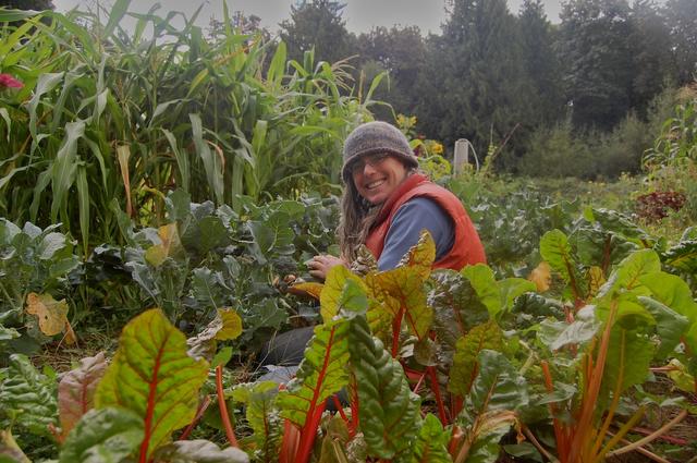 Jenny harvesting in the garden